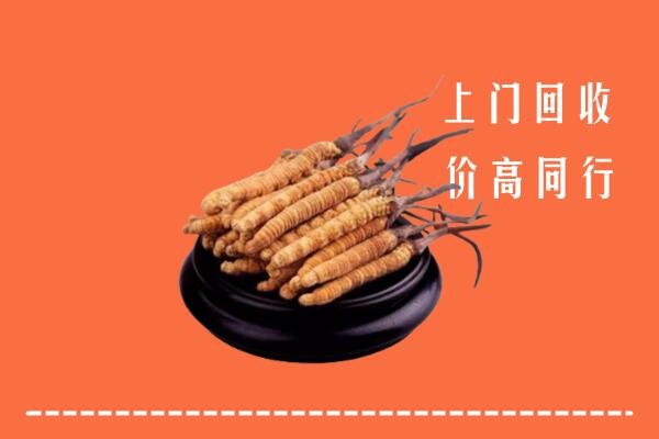 高价求购：通辽霍林郭勒回收散虫草