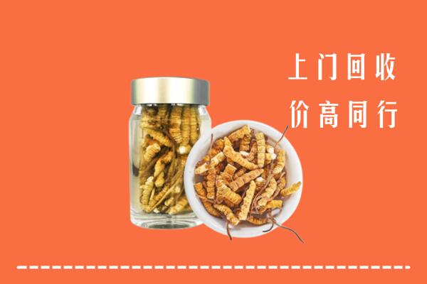 通辽霍林郭勒高价回收冬虫夏草